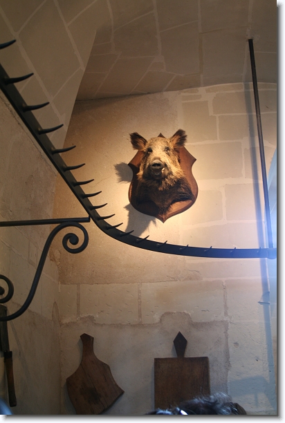 Cliquer pour l'image originale