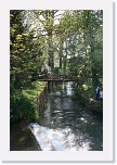IMG_0552 * 2304 x 3456 * (6.07MB)