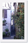 IMAG0095 * 1552 x 2592 * (1.3MB)